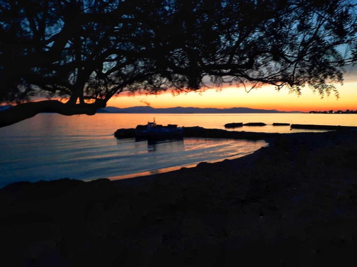 Elegant New Maisonette Near The Sea Aegina 外观 照片
